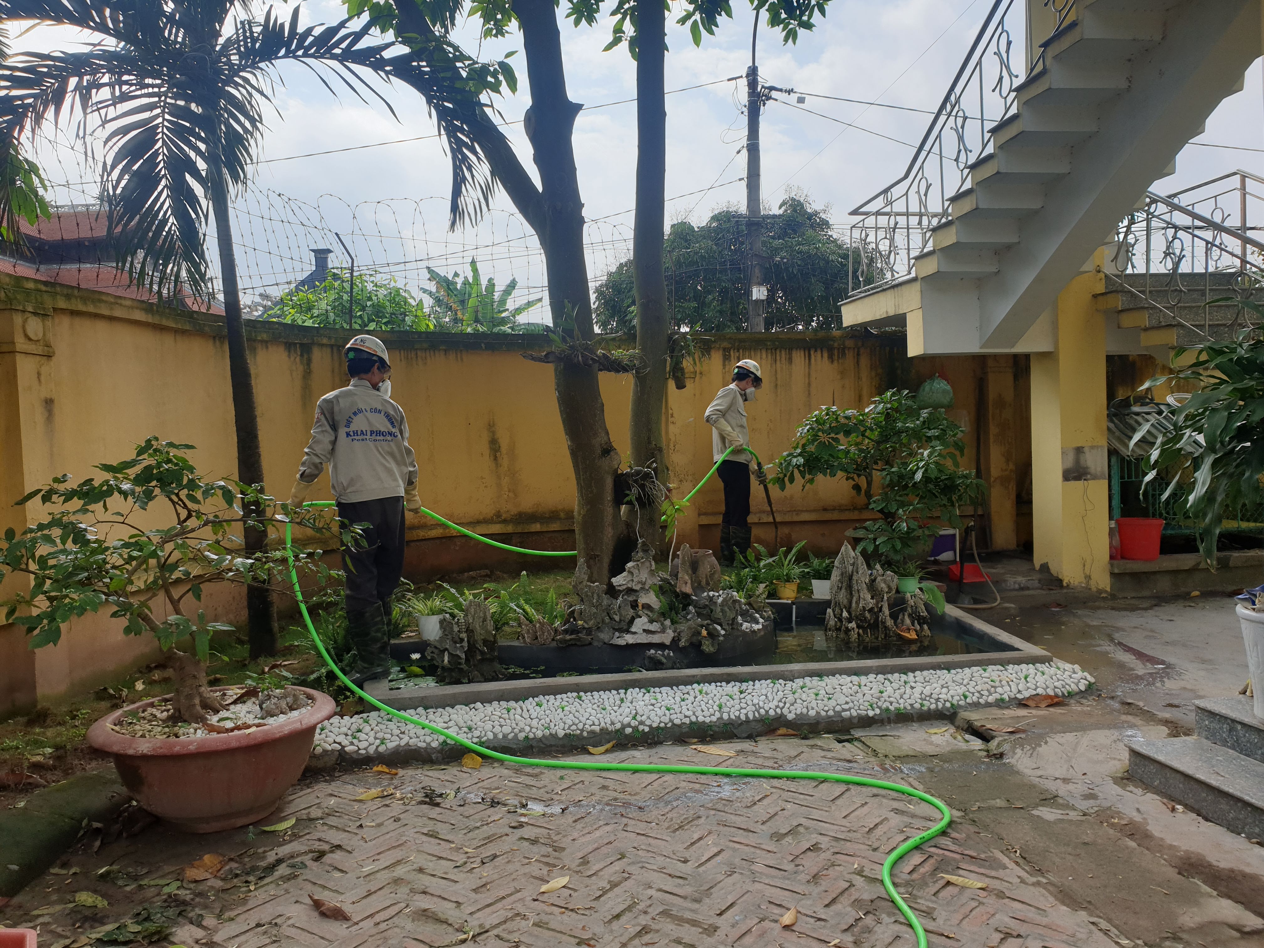 Diệt kiến tại phường Hưng Đạo Hải Phòng 